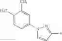 Fig. 24 - STROBILURIN TYPE COMPOUNDS FOR COMBATING PHYTOPATHOGENIC FUNGI