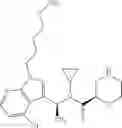 Fig. 102 - Nitrogen-containing saturated heterocyclic compound