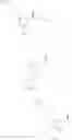 Fig. 367 - Nitrogen-containing saturated heterocyclic compound