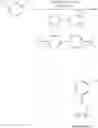 Fig. 24 - 4-(3-cyanophenyl)-6-pyridinylpyrimidine mGlu5 modulators
