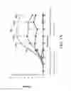 Fig. 04 - Nuclear transport modulators and uses thereof