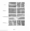 Fig. 08 - Nuclear transport modulators and uses thereof