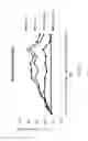 Fig. 10 - Nuclear transport modulators and uses thereof