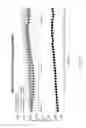 Fig. 19 - Nuclear transport modulators and uses thereof