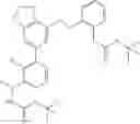 Fig. 1007 - Aminomethyl-Biaryl Derivatives Complement Factor D inhibitors and uses thereof