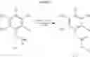 Fig. 14 - Aminomethyl-Biaryl Derivatives Complement Factor D inhibitors and uses thereof