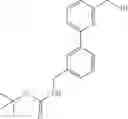 Fig. 178 - Aminomethyl-Biaryl Derivatives Complement Factor D inhibitors and uses thereof