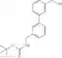 Fig. 179 - Aminomethyl-Biaryl Derivatives Complement Factor D inhibitors and uses thereof