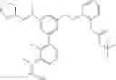 Fig. 342 - Aminomethyl-Biaryl Derivatives Complement Factor D inhibitors and uses thereof