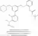 Fig. 360 - Aminomethyl-Biaryl Derivatives Complement Factor D inhibitors and uses thereof