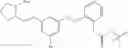 Fig. 375 - Aminomethyl-Biaryl Derivatives Complement Factor D inhibitors and uses thereof