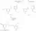 Fig. 41 - Aminomethyl-Biaryl Derivatives Complement Factor D inhibitors and uses thereof