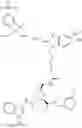 Fig. 48 - Aminomethyl-Biaryl Derivatives Complement Factor D inhibitors and uses thereof