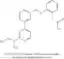 Fig. 733 - Aminomethyl-Biaryl Derivatives Complement Factor D inhibitors and uses thereof
