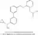 Fig. 823 - Aminomethyl-Biaryl Derivatives Complement Factor D inhibitors and uses thereof