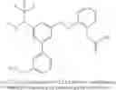 Fig. 846 - Aminomethyl-Biaryl Derivatives Complement Factor D inhibitors and uses thereof
