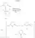 Fig. 18 - Process and intermediates for the synthesis of 8-[{1-(3,5-bis-(trifluoromethyl)phenyl)-ethoxy}-methyl]-8-phenyl-1,7-diaza-spiro[4.5]decan-2-one compounds