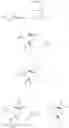 Fig. 67 - Process and intermediates for the synthesis of 8-[{1-(3,5-bis-(trifluoromethyl)phenyl)-ethoxy}-methyl]-8-phenyl-1,7-diaza-spiro[4.5]decan-2-one compounds