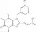 Fig. 10 - SUBSTITUTED XANTHINES AND METHODS OF USE THEREOF