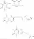 Fig. 262 - SUBSTITUTED XANTHINES AND METHODS OF USE THEREOF