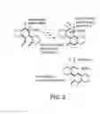 Fig. 04 - Traceless directing groups in radical cascades: from oligoalkynes to fused helicenes without tethered initators