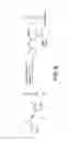 Fig. 08 - Traceless directing groups in radical cascades: from oligoalkynes to fused helicenes without tethered initators