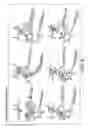 Fig. 09 - Traceless directing groups in radical cascades: from oligoalkynes to fused helicenes without tethered initators