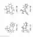 Fig. 11 - Traceless directing groups in radical cascades: from oligoalkynes to fused helicenes without tethered initators