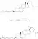 Fig. 119 - Lipid-based platinum compounds and nanoparticles