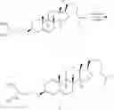 Fig. 171 - Lipid-based platinum compounds and nanoparticles
