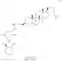 Fig. 291 - Lipid-based platinum compounds and nanoparticles