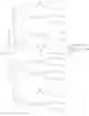 Fig. 95 - Dendrimer Scaffolds for Pharmaceutical Use