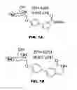 Fig. 02 - Compounds and methods for treating bacterial infections
