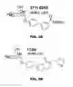 Fig. 04 - Compounds and methods for treating bacterial infections