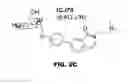 Fig. 05 - Compounds and methods for treating bacterial infections