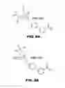 Fig. 13 - Compounds and methods for treating bacterial infections
