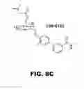 Fig. 14 - Compounds and methods for treating bacterial infections