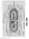 Fig. 18 - Compounds and methods for treating bacterial infections