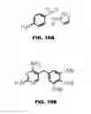 Fig. 31 - Compounds and methods for treating bacterial infections