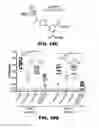 Fig. 32 - Compounds and methods for treating bacterial infections