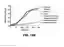 Fig. 33 - Compounds and methods for treating bacterial infections