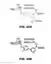 Fig. 35 - Compounds and methods for treating bacterial infections