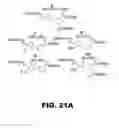 Fig. 37 - Compounds and methods for treating bacterial infections