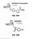 Fig. 45 - Compounds and methods for treating bacterial infections