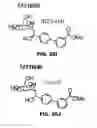 Fig. 49 - Compounds and methods for treating bacterial infections