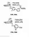 Fig. 50 - Compounds and methods for treating bacterial infections