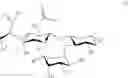 Fig. 24 - E-selectin antagonist compounds, compositions, and methods of use