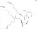 Fig. 40 - Phosphoroamidate esters, and use and synthesis thereof