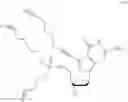 Fig. 41 - Phosphoroamidate esters, and use and synthesis thereof