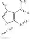 Fig. 75 - Phosphoroamidate esters, and use and synthesis thereof